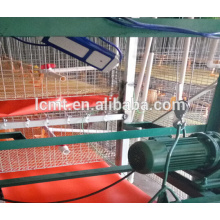 automatic equipment for chicken farm